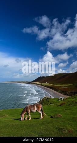 Rhossili Bay con onde che si infrangono sulla spiaggia, con pony in primo piano e Rhossili Down. Foto Stock
