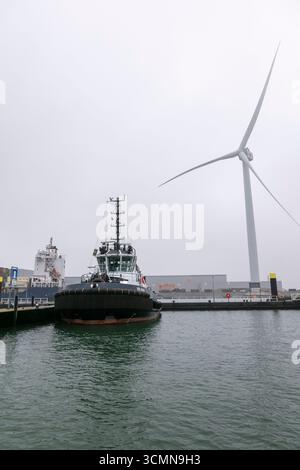 Il rimorchiatore BV Rob è ormeggiato in una giornata nebbiosa nel porto di Rotterdam, Paesi Bassi, con una turbina eolica che sorge sullo sfondo sopra il lungomare industriale e acque calme. Foto Stock