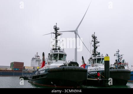 I rimorchiatori BV Brent e Ginger sono ormeggiati in una giornata nebbiosa nel porto di Rotterdam, Paesi Bassi, con una turbina eolica che sorge sullo sfondo sopra il lungomare industriale e acque calme. Foto Stock