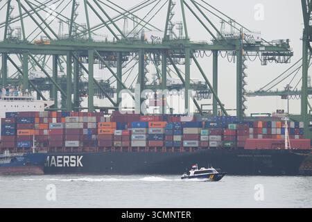 Singapore. 17 settembre 2025. Una nave carica e scarica i container al terminal Pasir Panjang di Singapore il 17 settembre 2025. Le esportazioni nazionali non petrolifere di Singapore (NODX) sono diminuite del 11,3% ad agosto rispetto a un anno prima, dopo il calo del 4,7% registrato a luglio, secondo i dati pubblicati mercoledì da Enterprise Singapore. Credito: Poi Chih Wey/Xinhua/Alamy Live News Foto Stock