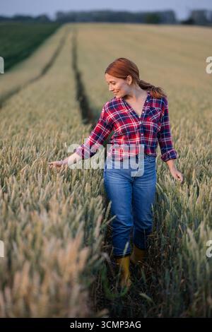 Una giovane rossa che cammina attraverso un campo al tramonto, saltando delicatamente le dita nel grano mentre passa Foto Stock