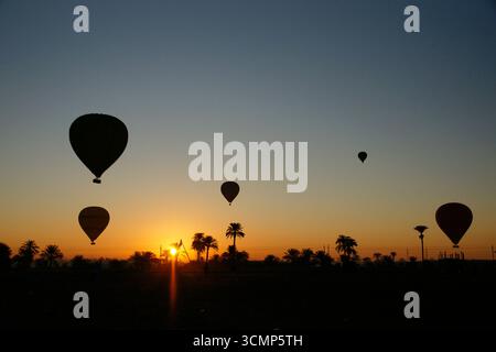 Le mongolfiere si innalzano sopra le palme egiziane all'alba, si stagliano contro un cielo limpido in un tranquillo paesaggio del deserto Foto Stock