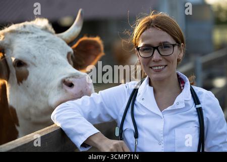 Ritratto di una donna allegra veterinaria insieme a un toro amichevole in fattoria Foto Stock