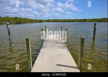 Una passerella in cemento conduce all'acqua, circondata da una natura tranquilla e da cieli nuvolosi, West Lake View Point, Everglades National Park, Florida, U Foto Stock