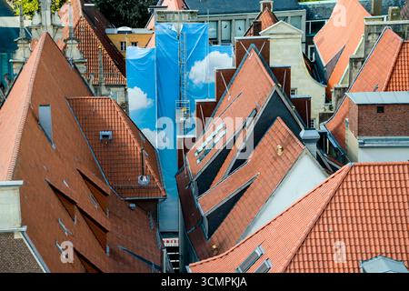 Vista aerea, città vecchia di Münster, Renania settentrionale-Vestfalia, Germania, Europa Foto Stock