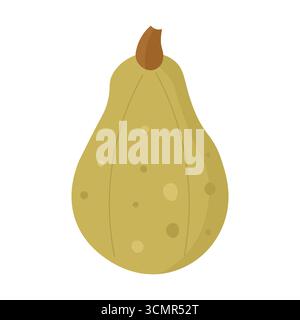 Cartoni animati giallo o zucca zucca gourd con illustrazione dello stelo. Illustrazione Vettoriale