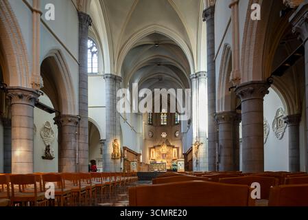 Basilica Benedettina neogotica di San Pietro e San Paolo / Sint-Pieter en Paulusbasiliek nella città di Dendermonde / Termont, Fiandre orientali, Belgio Foto Stock
