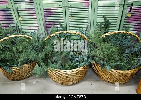 Cesti di vimini naturali pieni di rami freschi di pino e abete, perfetti per decorazioni natalizie, fiori invernali e arrangiamenti ecologici per le feste Foto Stock