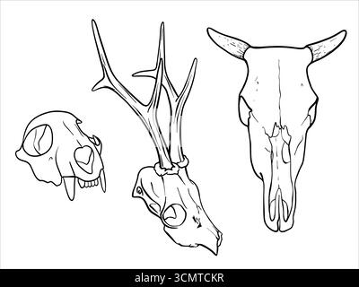 Set di teschi animali. Illustrazione vettoriale in bianco e nero disegnata a mano di un teschio di mucca, un teschio di cervo e un teschio di animale con zanne. Ossa dipinte di nero Illustrazione Vettoriale