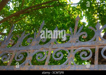 Vista dettagliata di una recinzione in ferro battuto invecchiato con motivi ornati e ruggine visibile, adagiata su un lussureggiante fogliame verde in luce naturale. Foto Stock