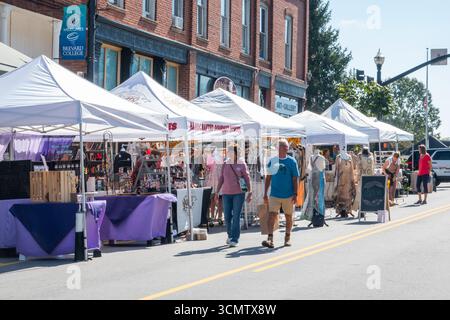 I venditori di arte e artigianato sono sulla Main Street durante il 5° Festival annuale delle Arti Plein Air a Brevard, North Carolina, una comunità di montagna popolare tra i turisti. Foto Stock