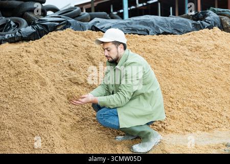 Coltivatore che squatting a mucchio grande di grano speso del birraio Foto Stock