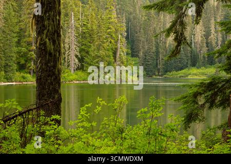 Lago Shellrock lungo il sentiero del lago Shellrock, Mt Hood National Forest, Roaring River Wilderness, Oregon Foto Stock
