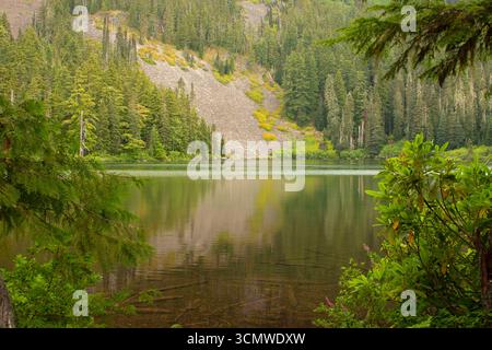 Lago Shellrock lungo il sentiero del lago Shellrock, Mt Hood National Forest, Roaring River Wilderness, Oregon Foto Stock
