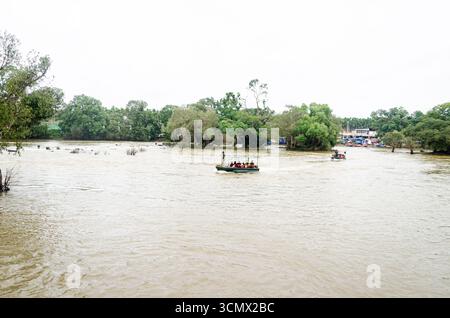 Campo degli elefanti a Dubare a Kushalnagar, Madikeri, Karnataka, India Foto Stock