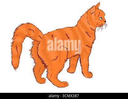 gattino gatto giallastro seduto gatto cartoni animati Foto Stock