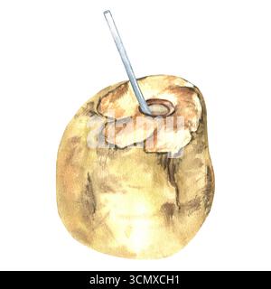 Cocco verde con cannuccia da bere disegnata a mano su sfondo bianco. Latte di cocco. Bevanda tropicale. Per menu, stampa, design Foto Stock