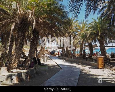 La spiaggia di Vai a Creta, in Grecia, ha una foresta di palme molto grande. Divenne famoso quando negli anni '1970 fu girato qui uno spot pubblicitario. Foto Stock