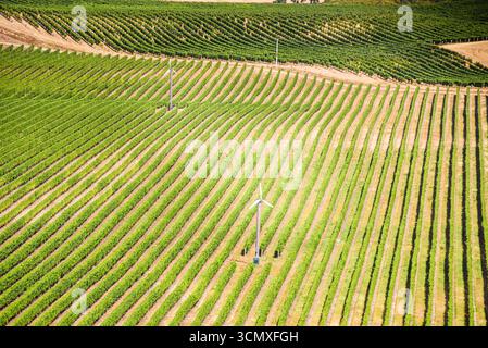 Vigneto di precisione con file verdi brillanti e macchina eolica per il controllo del gelo nella regione vinicola di Blenheim, nuova Zelanda Foto Stock