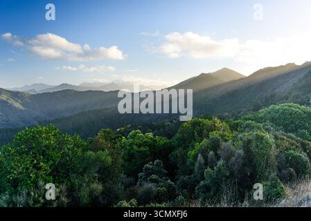 Spettacolari raggi luminosi che attraversano la nuvola serale sulle colline lussureggianti lungo French Pass Road, Marlborough Sounds, nuova Zelanda Foto Stock