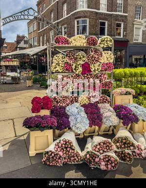 Bancarella di fiori al mercato di Shambles a York, Yorkshire, con mazzi colorati di peonie e ortensie in mostra. Foto Stock