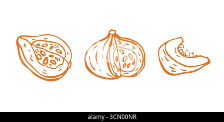Set illustrativo vettoriale lineare della zucca a fette per la progettazione di cibi, menu, ristorante, vendemmia autunnale, Halloween e decorazione del giorno del Ringraziamento. Disegnato a mano Illustrazione Vettoriale