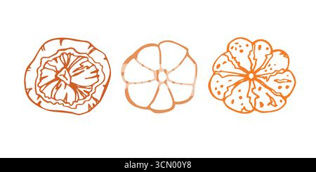 Illustrazione vettoriale lineare in grassetto e originale con tre zucche dall'alto. Per logo, menu, cucina, raccolta autunnale, Halloween, Ringraziamento. Mano Illustrazione Vettoriale