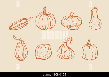 Set di illustrazioni lineari vettoriali con icone di zucca fresche e alla moda con zucche di varie forme. Elementi di design per il menu, il raccolto autunnale, Halloween Illustrazione Vettoriale