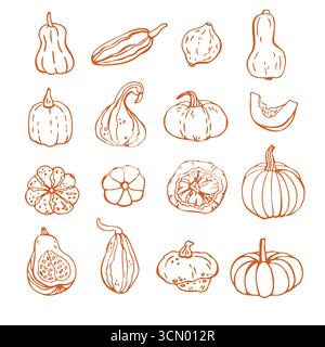 Grande set autunnale alla moda di varie zucche. Set di illustrazioni lineari vettoriali icone. Elementi di design per il menu, il raccolto autunnale, Halloween, il Ringraziamento Illustrazione Vettoriale
