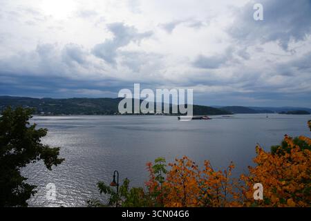 Paesaggio norvegese di fiordi con acque blu calme, ripide montagne e un albero autunnale giallo in primo piano. Foto Stock
