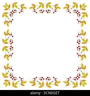 Cornice autunnale di rowan con spazio per il testo. Ornamento floreale quadrato. Cartolina natalizia con foglie e frutti di bosco luminosi su sfondo bianco. Decorazioni autunnali per Tha Illustrazione Vettoriale