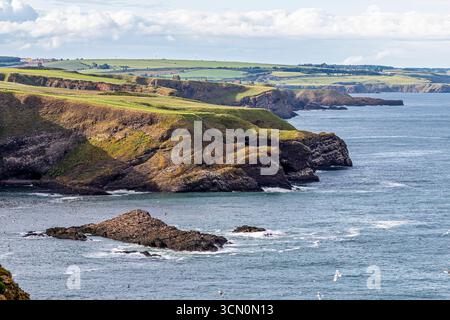 Scozia - Fowlsheugh - scogliere - Vista delle scogliere frastagliate lungo la costa atlantica Foto Stock