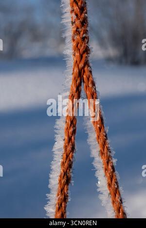 corda ricoperta di cristalli di ghiaccio Foto Stock