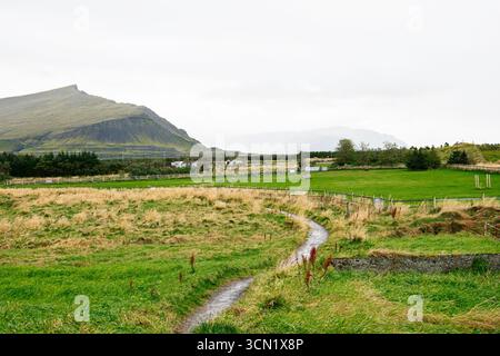 Campi erbosi con un piccolo ruscello e vista sulle montagne nella campagna islandese Foto Stock