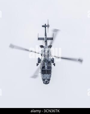 Elicottero Wildcat della Royal Navy che si libra verso il basso durante una mostra di Blackcats della Royal Navy all'International Ayr Show Festival of Flight, Scozia Foto Stock