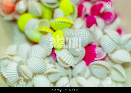Un mucchio di piccole conchiglie scanalate, per lo più bianco cremoso con creste verticali, mescolate con alcune tinte in brillanti tonalità al neon di giallo, verde, rosa e mag Foto Stock