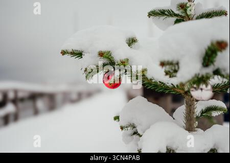 Ornamento natalizio rosso su ramo sempreverde ricoperto di neve Foto Stock