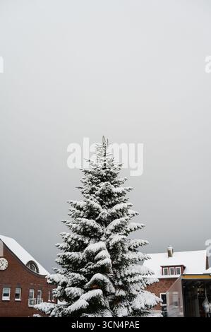 Grande albero sempreverde coperto di neve nella piazza della città Germania Foto Stock