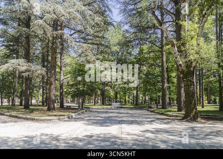 La vista del sentiero soleggiato si snoda attraverso un tranquillo parco, fiancheggiato da alberi torreggianti che gettano ombre intricate, creando una fuga tranquilla, l'Aquila, Ab Foto Stock