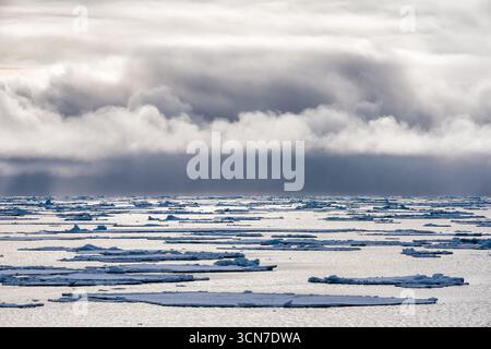Sjuoyane sette isole Svalbard Oceano Artico Norvegia // SVALBARD, Norvegia — i banchi di ghiaccio marini si spostano sull'Oceano Artico sotto un cielo spettacolare e nuvoloso. L'arcipelago delle Svalbard, situato nell'Oceano Artico, fa parte del Regno di Norvegia ed è noto per i suoi ghiacciai, le montagne e la fauna selvatica. La regione è un'area significativa per la ricerca scientifica, in particolare per quanto riguarda il cambiamento climatico e il suo impatto sugli ambienti polari. L'Oceano Artico è il più piccolo e poco più profondo dei cinque maggiori oceani del mondo, e gran parte di esso è coperto da ghiaccio marino. Foto Stock