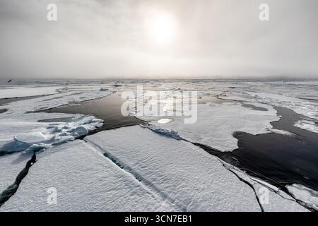 Sjuøyane sette isole Svalbard Oceano Artico // SVALBARD E JAN MAYEN - l'Oceano Artico è visto qui con vaste distese di ghiaccio marino spezzate in pianali e canali. Il sole, parzialmente oscurato dalle nuvole, proietta una luce intensa e diffusa sulla scena. Questo arcipelago remoto, situato tra il Mare di Groenlandia e il Mare di Barents, è noto per i suoi spettacolari paesaggi glaciali e la ricca fauna selvatica. Le Sjuøyane, o sette isole, sono le isole più settentrionali delle Svalbard, che rappresentano l'estremo nord di questo territorio artico. Foto Stock