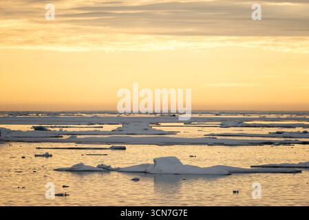 Banchi di ghiaccio a Klerckbukta Nordaustlandet Svalbard Norvegia // NORDUESTAALANDET, Svalbard — i banchi di ghiaccio si spostano nell'Oceano Artico a Klerckbukta, Nordaustlandet, Svalbard, Norvegia. Nordaustlandet è la seconda isola più grande dell'arcipelago delle Svalbard, situata nell'Oceano Artico. L'arcipelago è situato tra la Norvegia continentale e il Polo Nord. Le Svalbard sono note per i suoi ghiacciai, le montagne e la fauna selvatica artica unica. La regione sperimenta il giorno polare in estate e la notte polare in inverno. Foto Stock