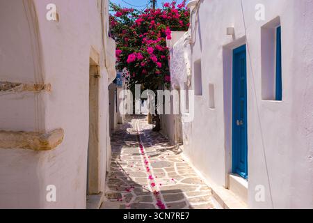 Una strada pittoresca a Parikia con un albero di bouganville in fiore, tipica dell'atmosfera dell'isola delle Cicladi Foto Stock