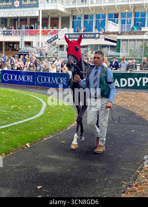 Irish Champions Festival, ippodromo di Leopardstown, Dublino, Irlanda. Maneggiatori, fantini e purosangue nel paddock prima della gara. Foto Stock
