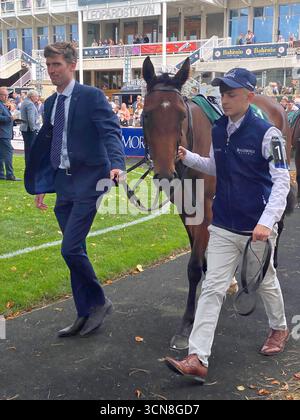 Irish Champions Festival, ippodromo di Leopardstown, Dublino, Irlanda. Maneggiatori, fantini e purosangue nel paddock prima della gara. Foto Stock