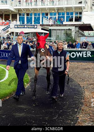 Irish Champions Festival, ippodromo di Leopardstown, Dublino, Irlanda. Maneggiatori, fantini e purosangue nel paddock prima della gara. Foto Stock