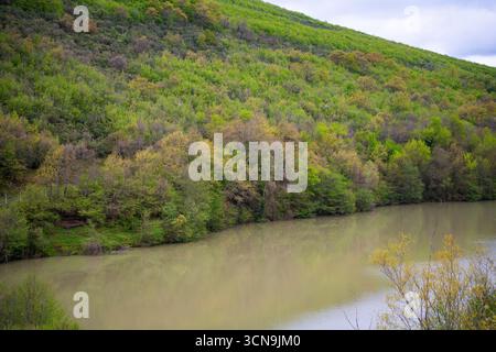 Tranquillo lungolago con fogliame primaverile. Panchina accanto a un lago tranquillo circondato da alberi in erba. Ancora acque in una giornata nuvolosa Foto Stock