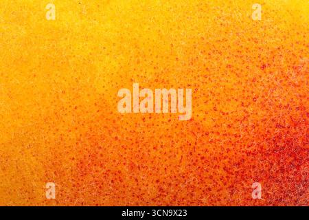 Primo piano di un frutto giallo e arancio con una consistenza ruvida. Il frutto è ricoperto da piccoli dossi e ha un aspetto leggermente confuso Foto Stock