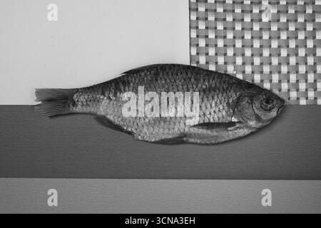 Dried Fish Still Life in bianco e nero. Foto Stock
