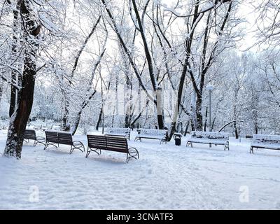 Winter Wonderland con panchine coperte di neve nel parco cittadino. Clima invernale freddo. All'aperto. Foto Stock